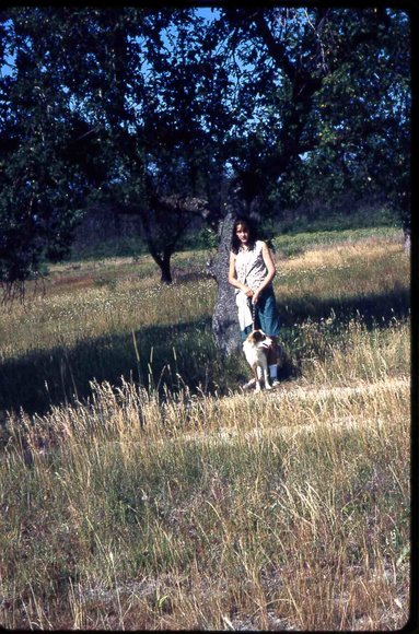 126 molnar farm   1965 126