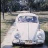 127 molnar farm   1966 127