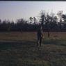 128 molnar farm   1966 128