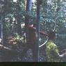 129 molnar farm   1966 129