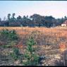 130 molnar farm   1970 130