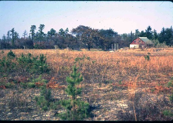 130 molnar farm   1970 130