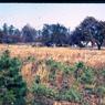 131 molnar farm   1970 131