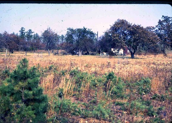 131 molnar farm   1970 131