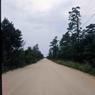 136 molnar farm   1974 136