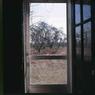 139 molnar farm thru the door 1974 139