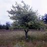 141 molnar farm  1976 141
