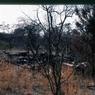 144 molnar farm  1982 enf of saga of pine ave  144