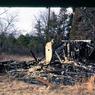 146 molnar farm  1982 enf of saga of pine ave  146