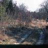 147 molnar farm april 1982 enf of saga of pine ave  147