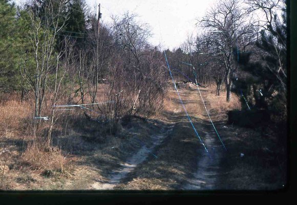 147 molnar farm april 1982 enf of saga of pine ave  147