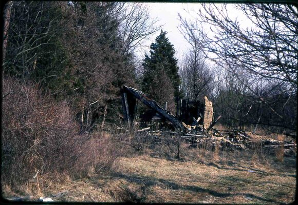 148 molnar farm april 1982 enf of saga of pine ave  148