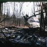 150 molnar farm april 1982 enf of saga of pine ave  150