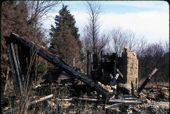 151 molnar farm april 1982 enf of saga of pine ave  151