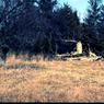 152 molnar farm april 1982 enf of saga of pine ave  152