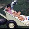 160 molnar farm summer 1967 160