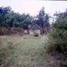162 molnar farm 1976162