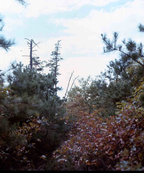 170 old pine ave 1973170