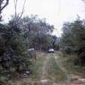 173 old pine ave 1976173