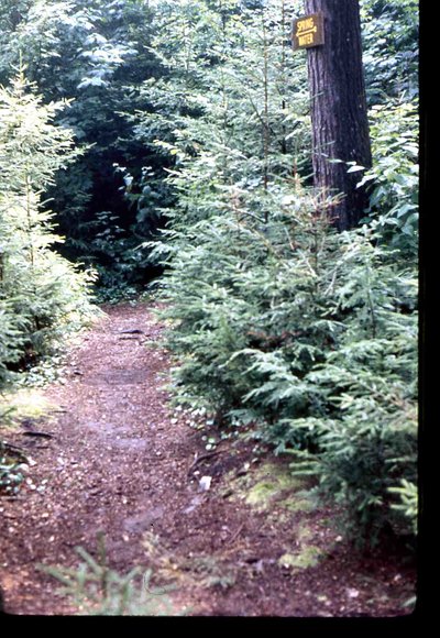 008 Skip _amp_ dad 1970 long lake camping trip008