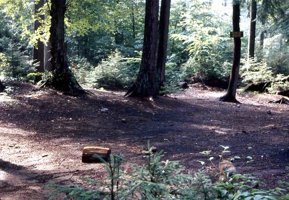 009 Skip _amp_ dad 1970 long lake camping trip009