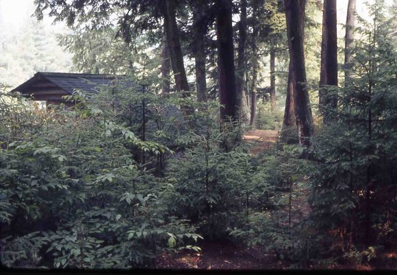 010 Skip _amp_ dad 1970 long lake camping trip010