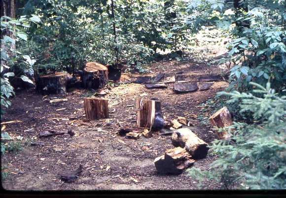 012 Skip _amp_ dad 1970 long lake camping trip012