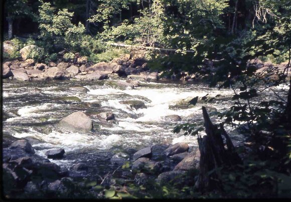 018 Skip _amp_ dad 1970 lon lake camping trip018