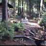 033 Skip _amp_ dad 1970 long lake camping trip033