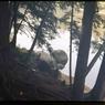 038 Skip _amp_ dad 1970 long lake camping trip038